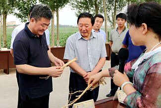 绿色蒙中药材正在沙海明珠的奈曼魅力崛起