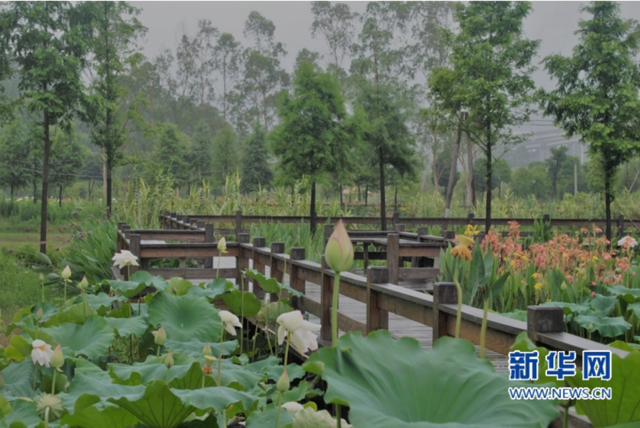 福建治水“试验田”开花结果 探索出一批新模式