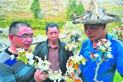 政府引导打造农旅新路径 农旅融合带动乡村振兴