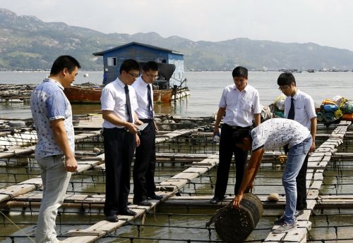 宁德农商行助力蓝色经济