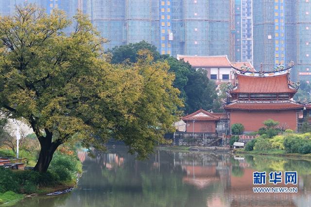 福建漳州：打造乡村生态水系景观带 