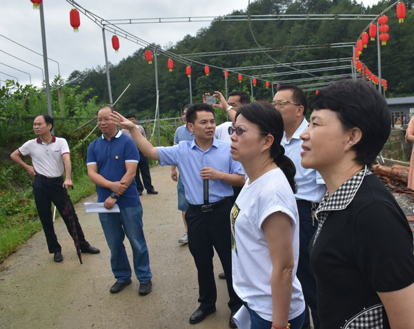 龙岩市人大常委会调研永定精准脱贫工作