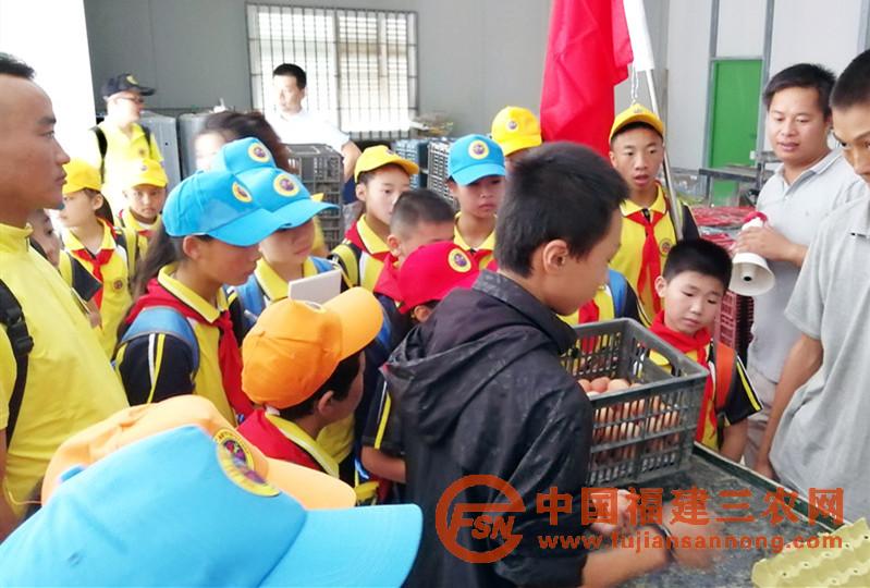 10月1日，闽藏少年儿童在中国以色列示范农场蛋鸡包装车间参观.jpg