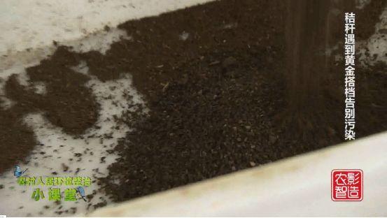 吃秸秆，产粪沙！12吨秸秆收益17000元，小虫子也有大作用