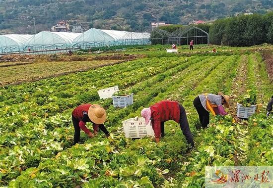 莆田市白沙镇持续巩固脱贫攻坚成果推动乡村振兴