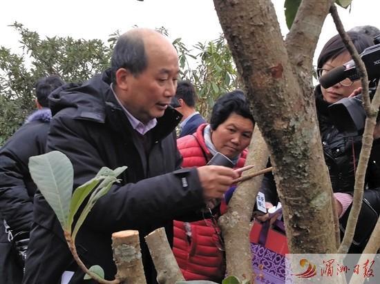 莆田市白沙镇持续巩固脱贫攻坚成果推动乡村振兴