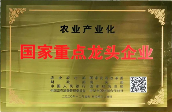 图片10.png