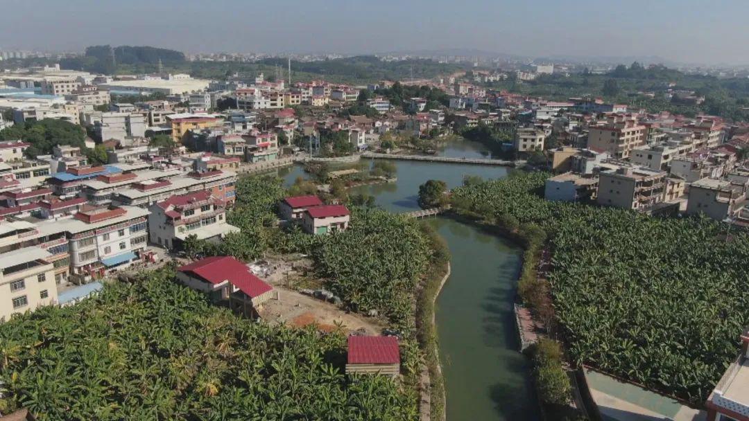 漳州:乡村建设行动 改善农村人居环境