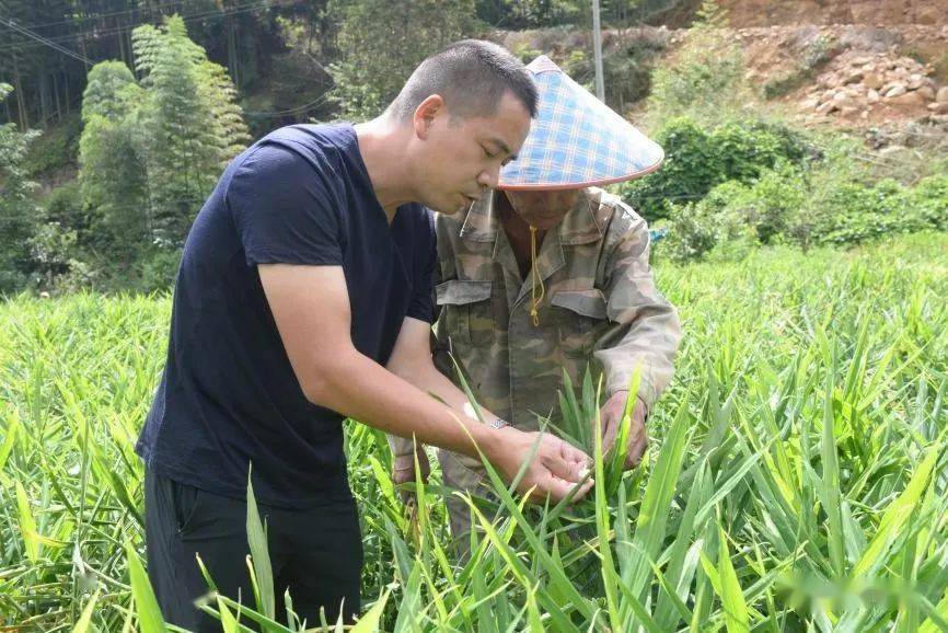 卢长汉（左）田间指导村民种植方法.jpg