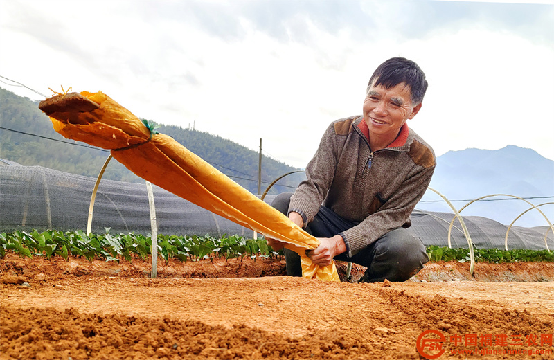 村民余堂财在茶苗培育基地夯实土层.jpg