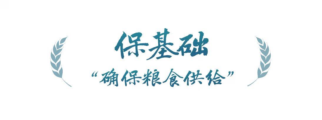 春事看农桑丨“大食物观”托起“舌尖幸福”