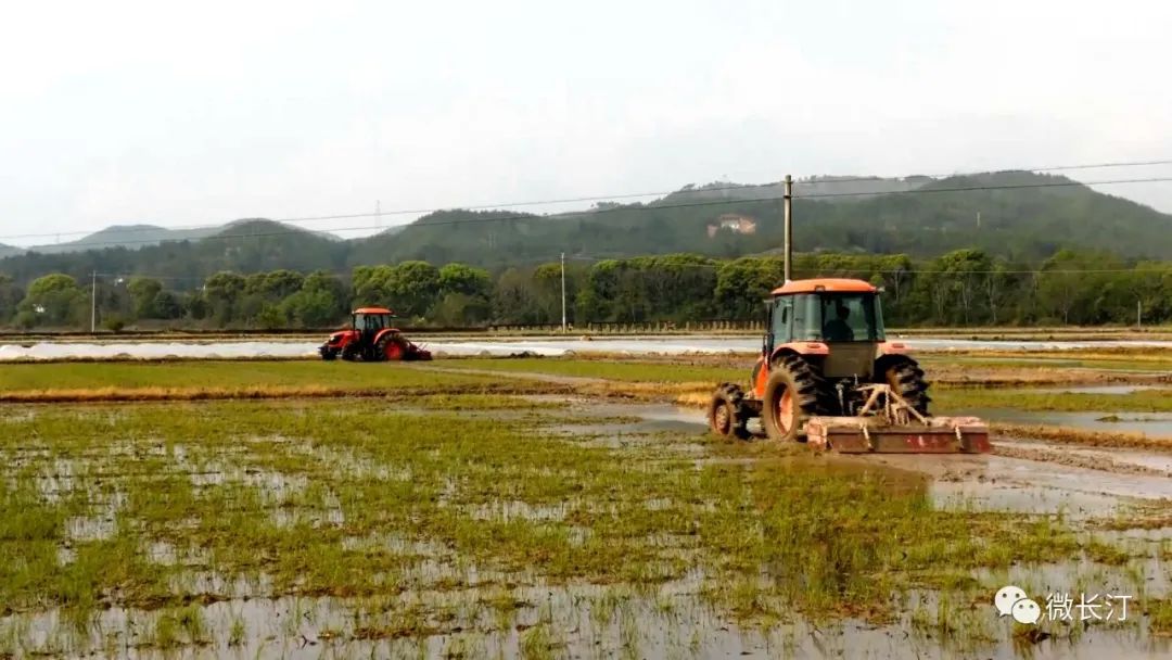 长汀：多措并举守住粮食安全生产底线