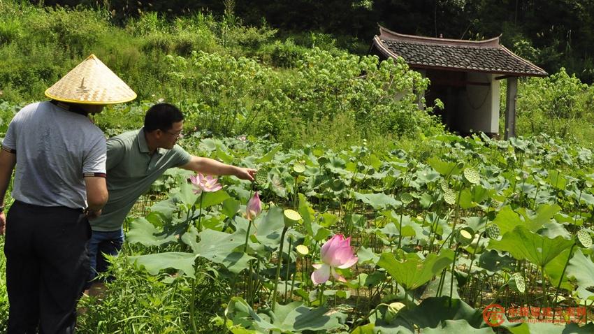 3 村民与企业负责人在田间交流.jpg