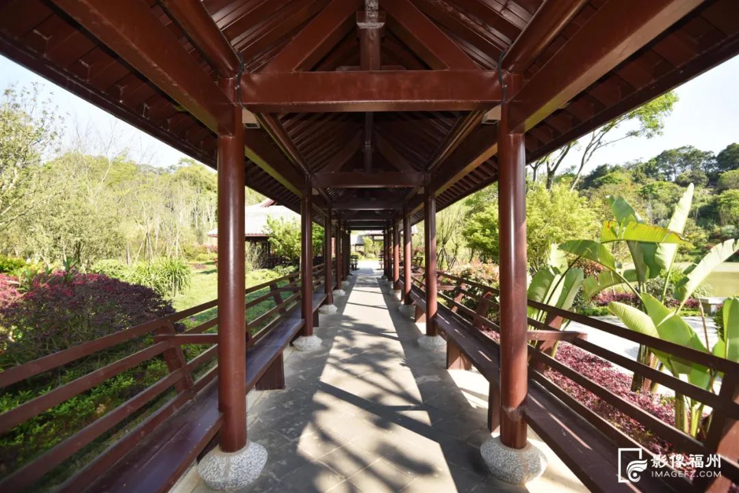 福州这5个网红公园,你打卡了吗?