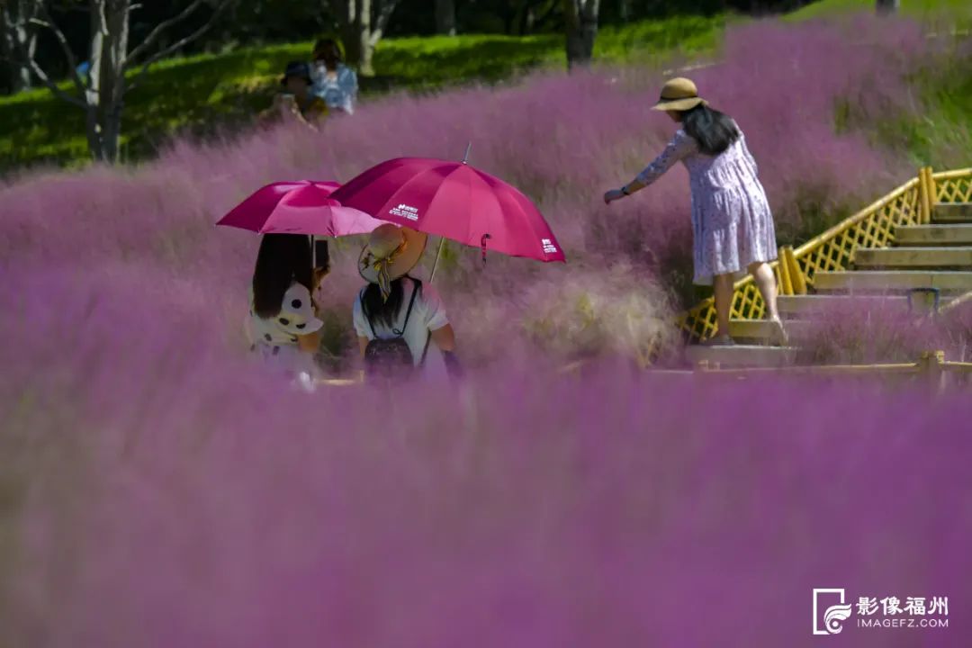 福州这5个网红公园,你打卡了吗?