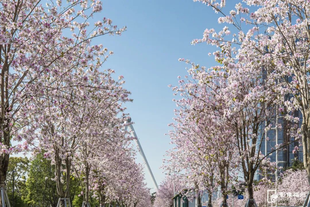 福州这5个网红公园,你打卡了吗?