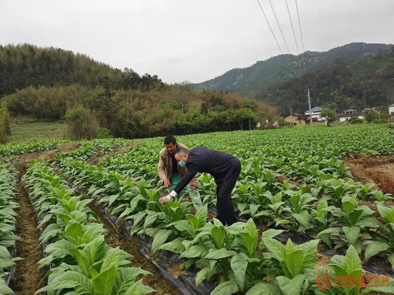 5 金融助理和种养大户.jpg