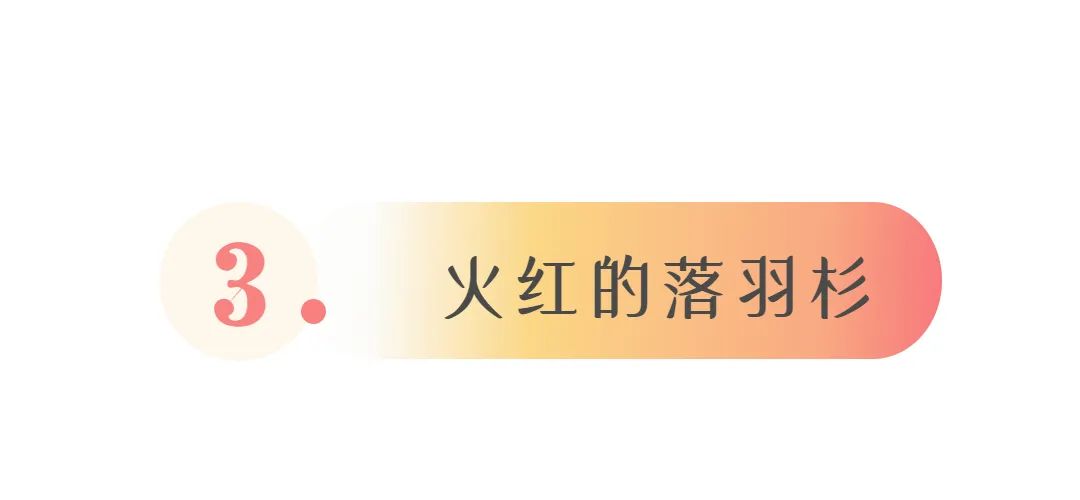 福州的秋天，闪闪发光