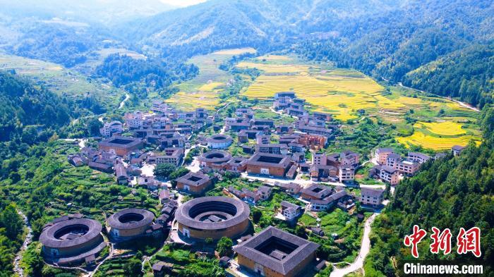 数千亩高山梯田稻子陆续成熟,与土楼群交相辉映,构成了一幅美丽的画卷。 永定区融媒体中心供图