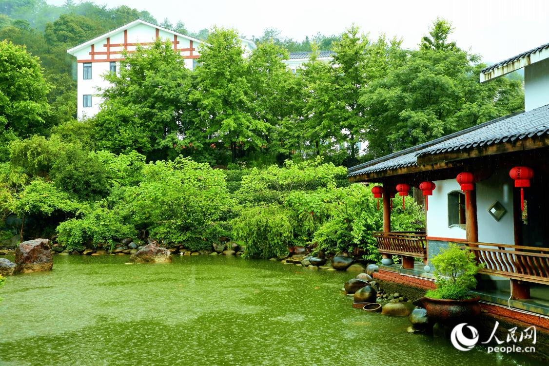 武夷香江茗苑茶文化体验园坚持文旅茶融合发展，园内的水面在茶树的映衬下更加翠绿。人民网 李唯一摄