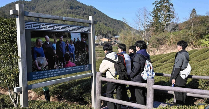 闽江学院“茶韵飘香・武夷行”团队探寻“三茶”文旅融合新路径