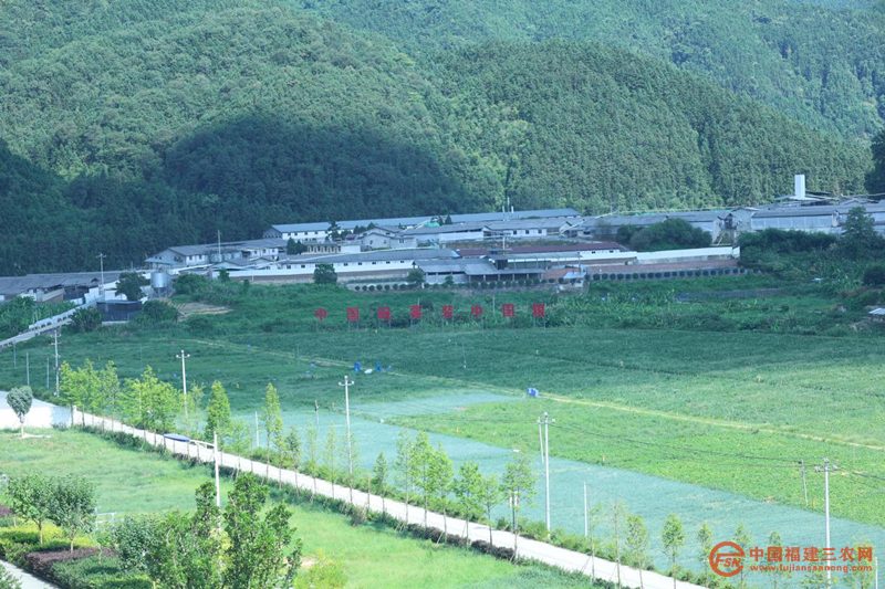 图片11.png
