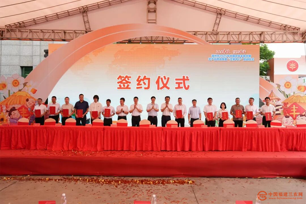 图片17.png